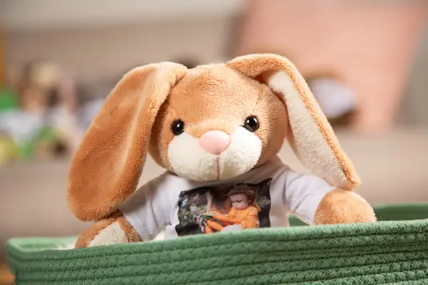Kuscheltiere mit Foto