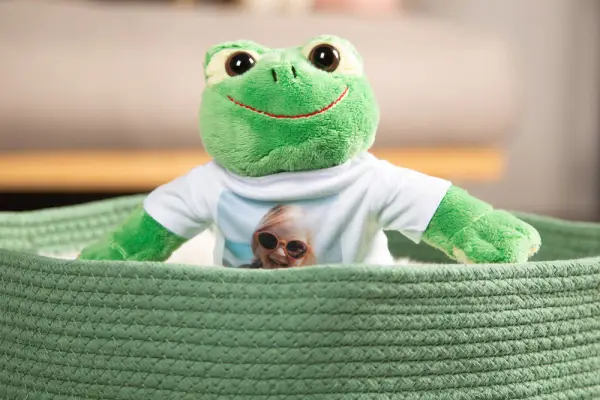 Kuscheltier Frosch