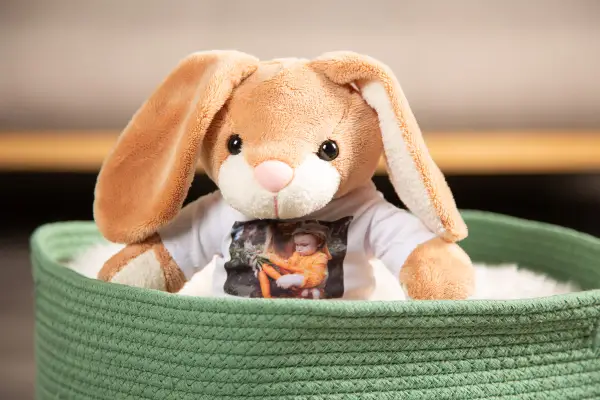 Kuscheltier Hase